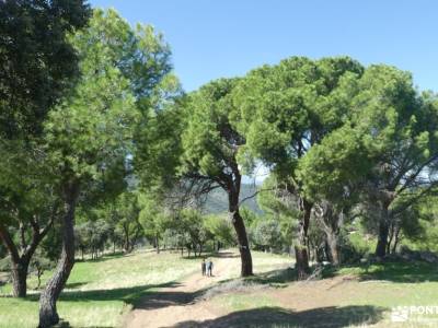 Pinares de Navas del Rey; rutas senderismo cantabria marcos y cordero el tranco la pedriza parador n